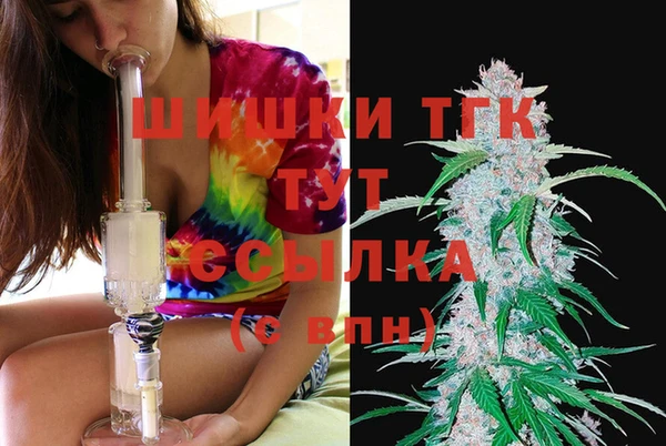стаф Михайлов