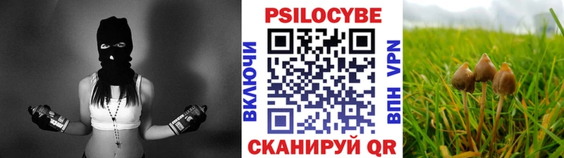 Псилоцибиновые грибы мухоморы Черняховск
